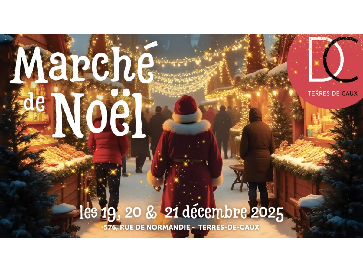 marche de noel fauville 2025 (1)