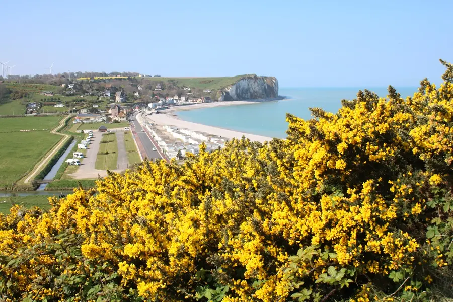 mémore d'albatre-coteau des falaises©ccca (3)