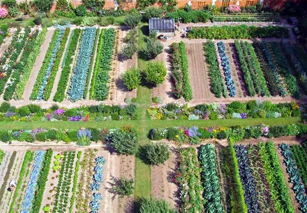 miromesnil_garden_potager_original