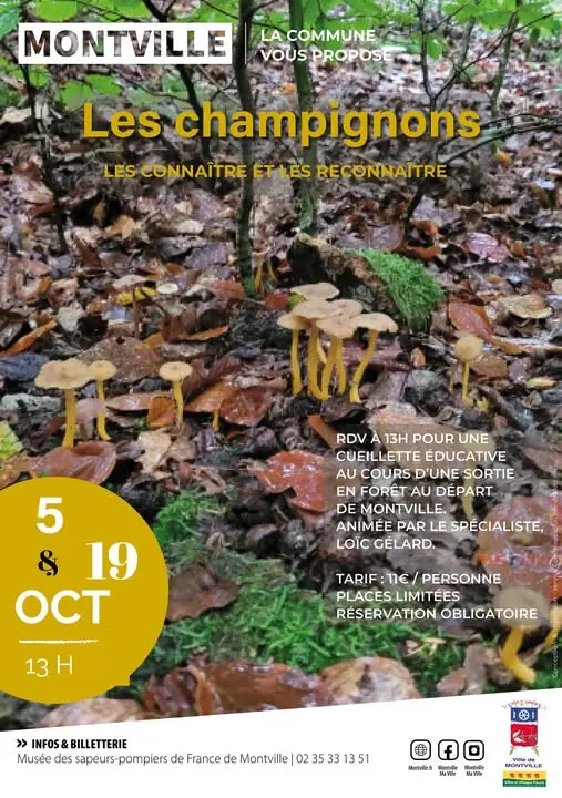 affiche les champignons