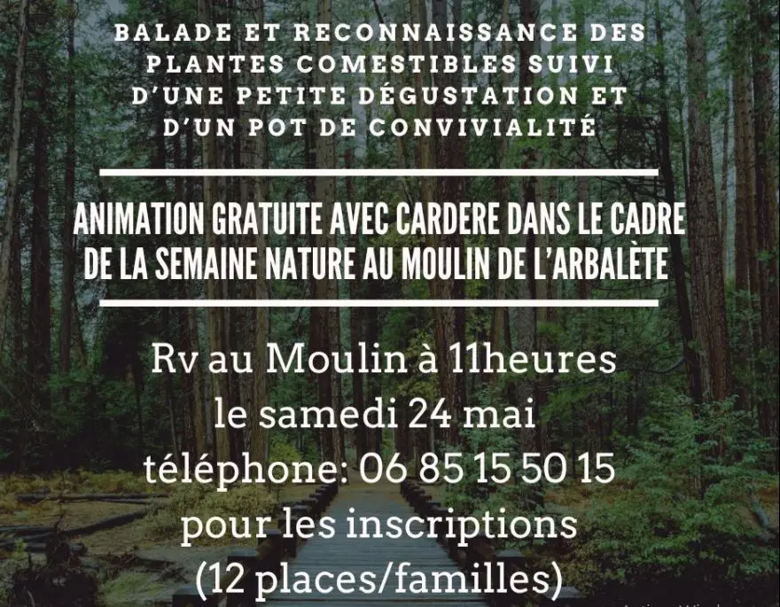 Animation nature 24/05/25