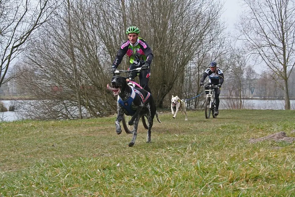 Canicross
