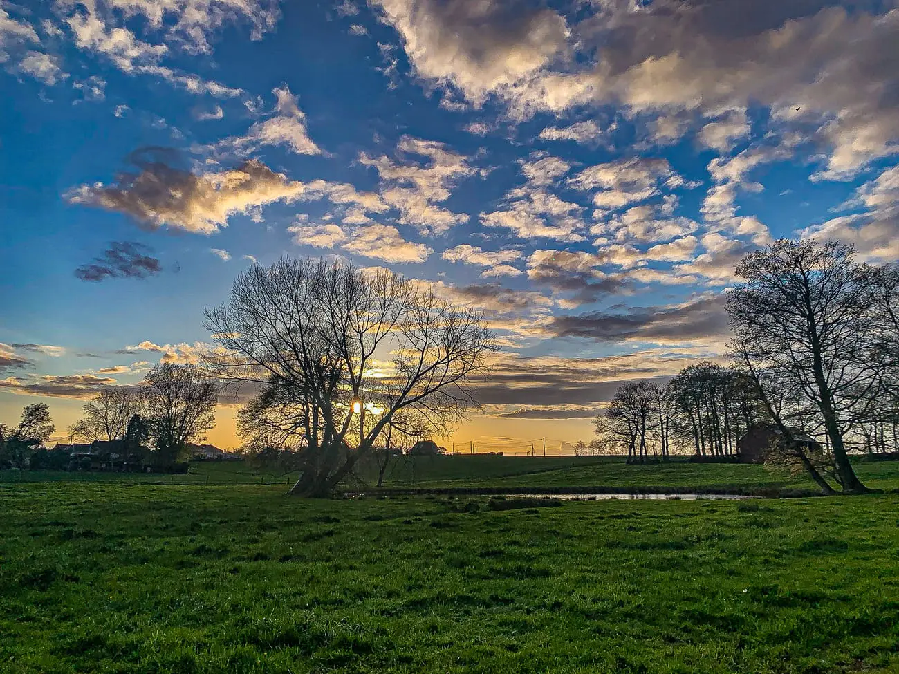 paysage-1