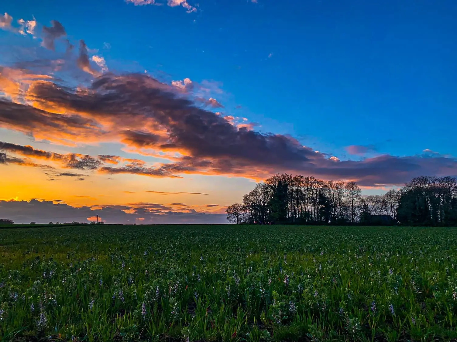 paysage-2