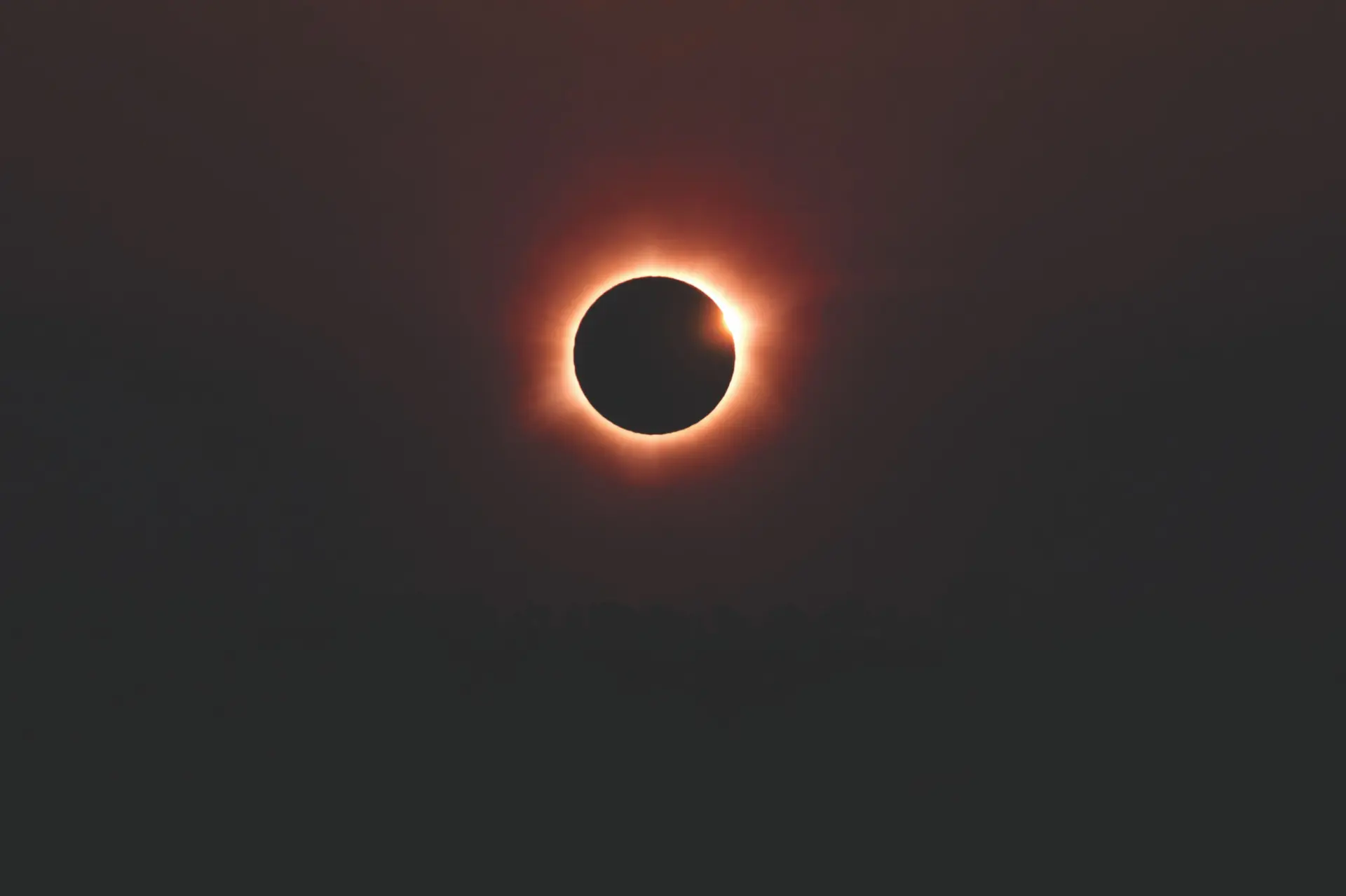 pexels-gleive-37045046