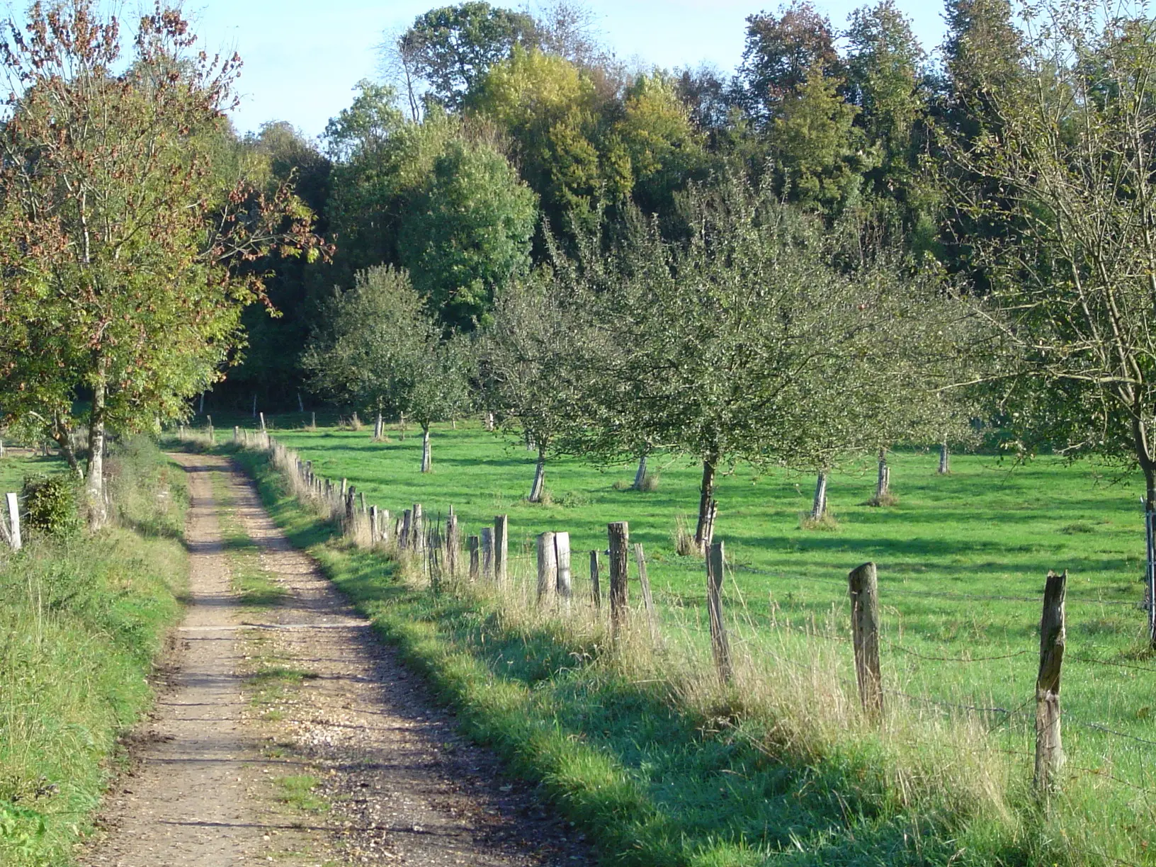 pommier-et-chemin-de-randonnee
