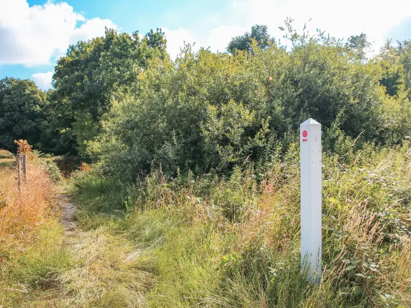 pointe_de_caux-sma-M HAREL-800x600 (2)