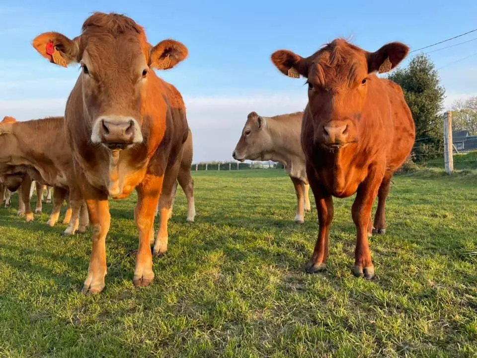 portes-ouvertes-moulin-de-rebets-2025