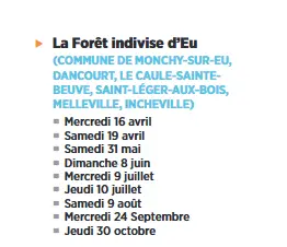 programme sorties nature ENS foret d'eu