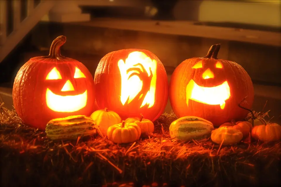 citrouilles