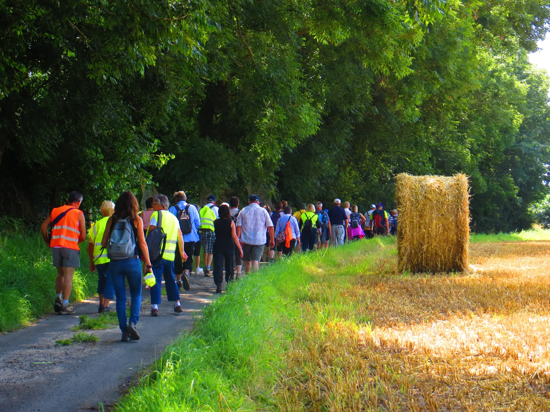 randonnée ©Terroir de Caux