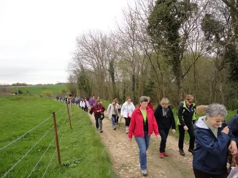 Randonnée AFJC - Cany Barville (4)