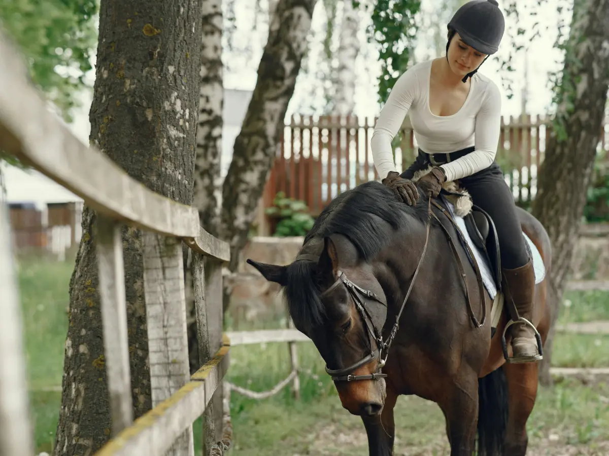 randonnee-aquestre-pexels-gustavo-fring-4894988