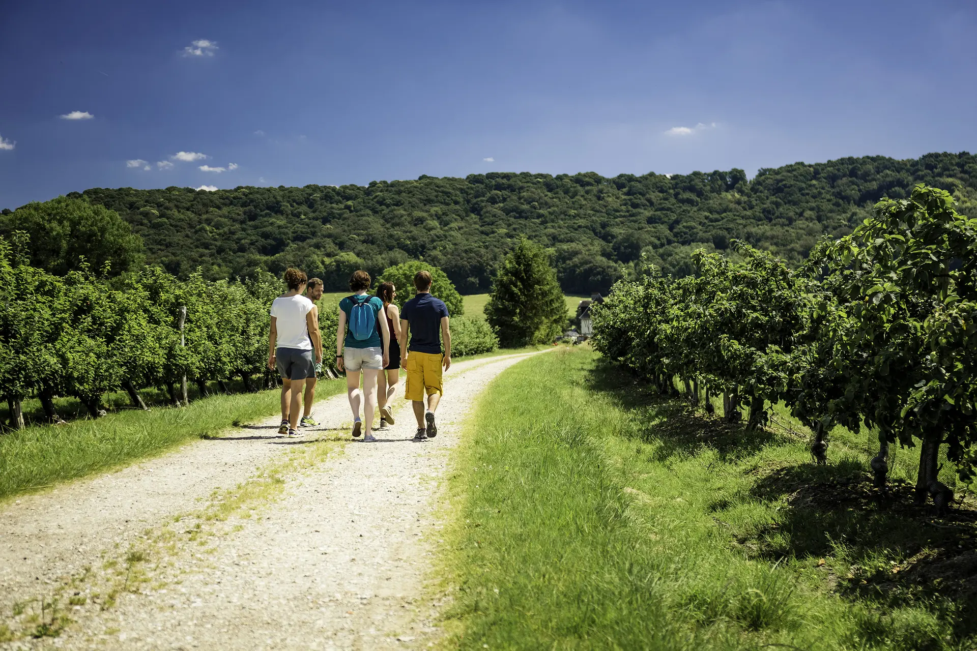 rando - Vallée de Seine-vergers-2016©Seine-Maritime Tourisme-V.Rustuel