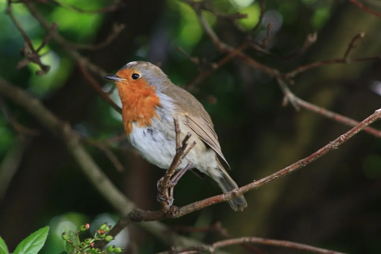 La nature près de chez nous - Grèges