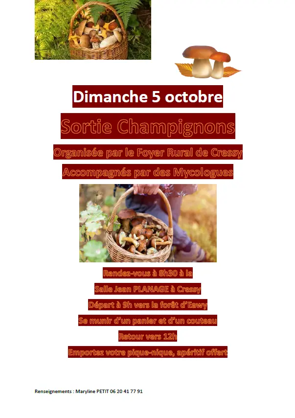 Sortie champingon