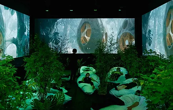 Sleep for Earth