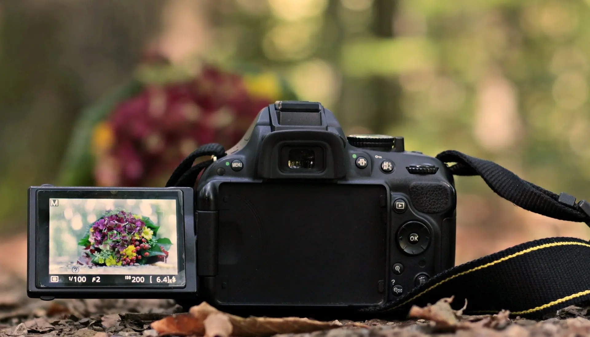 appareil photo