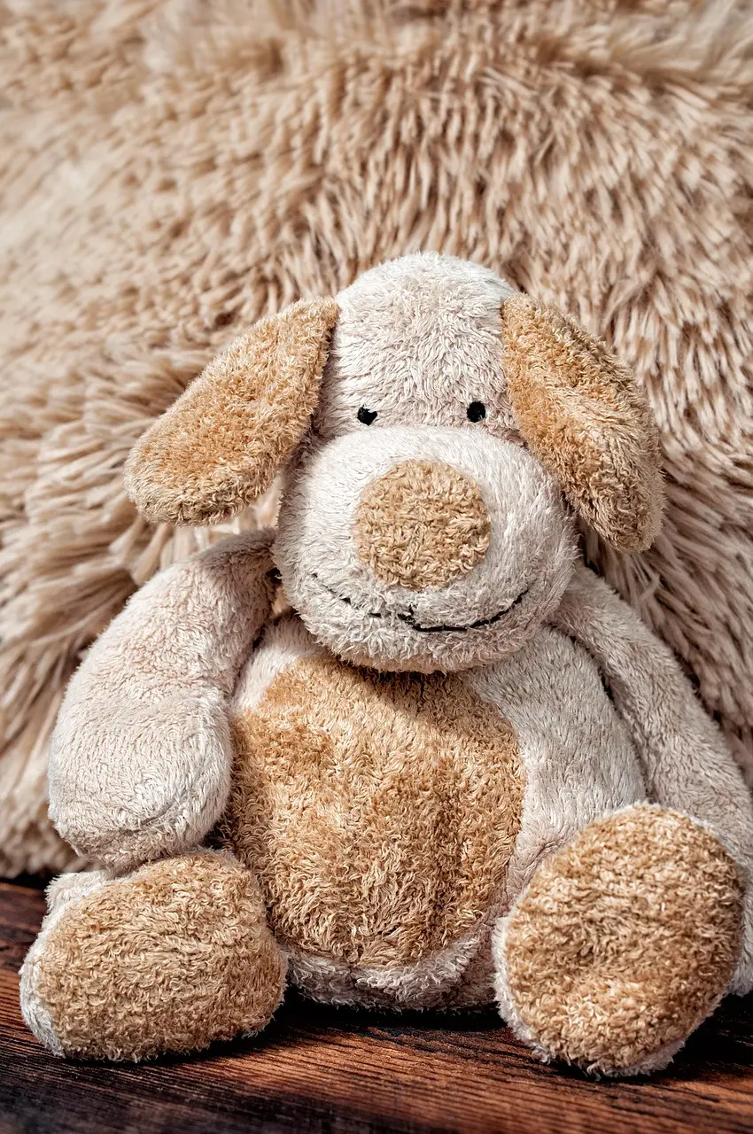 stuffed-animal-1053580_1280