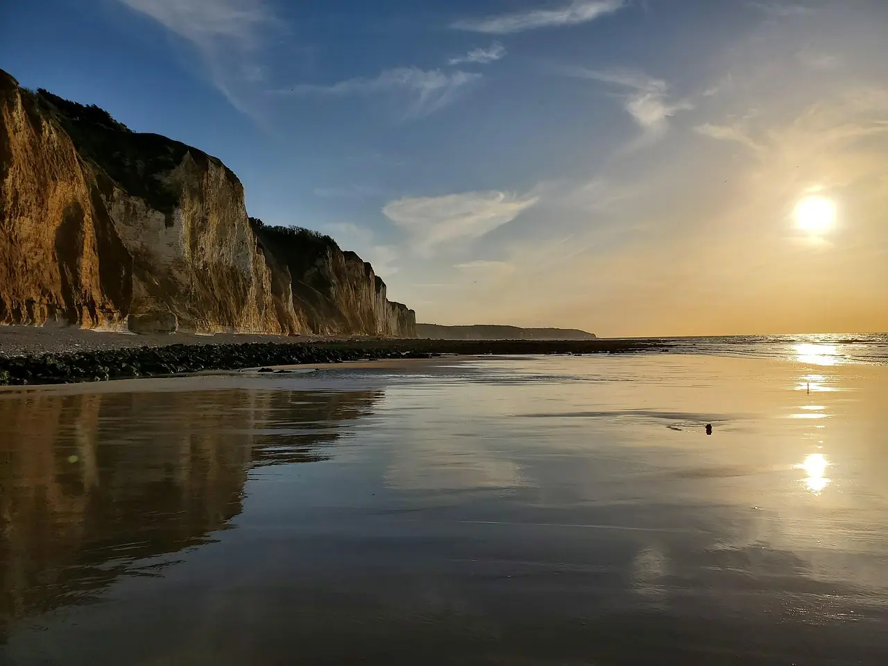 A la découverte des habitants du littoral - Dieppe