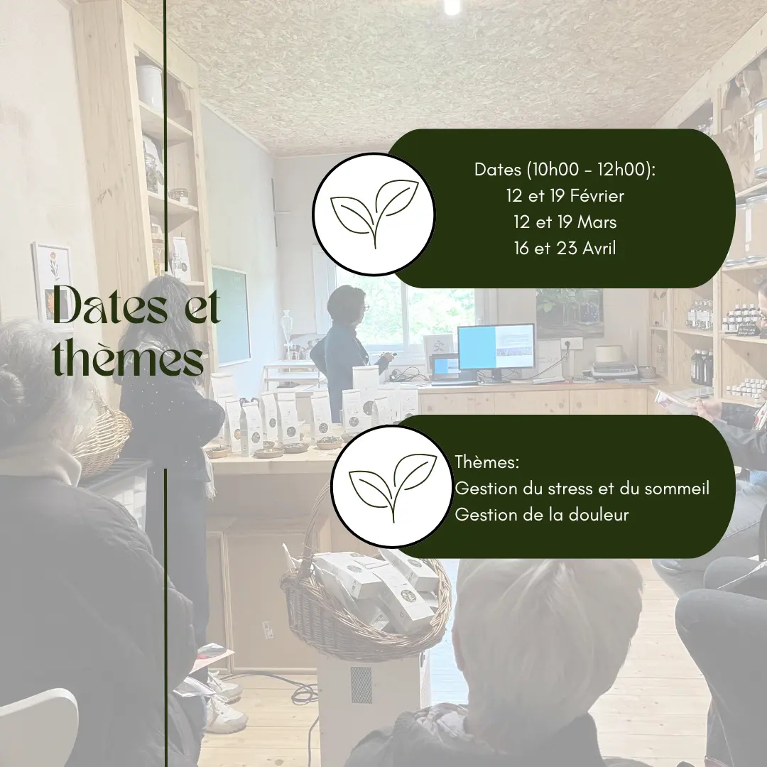 Atelier avec Suzanne - 4