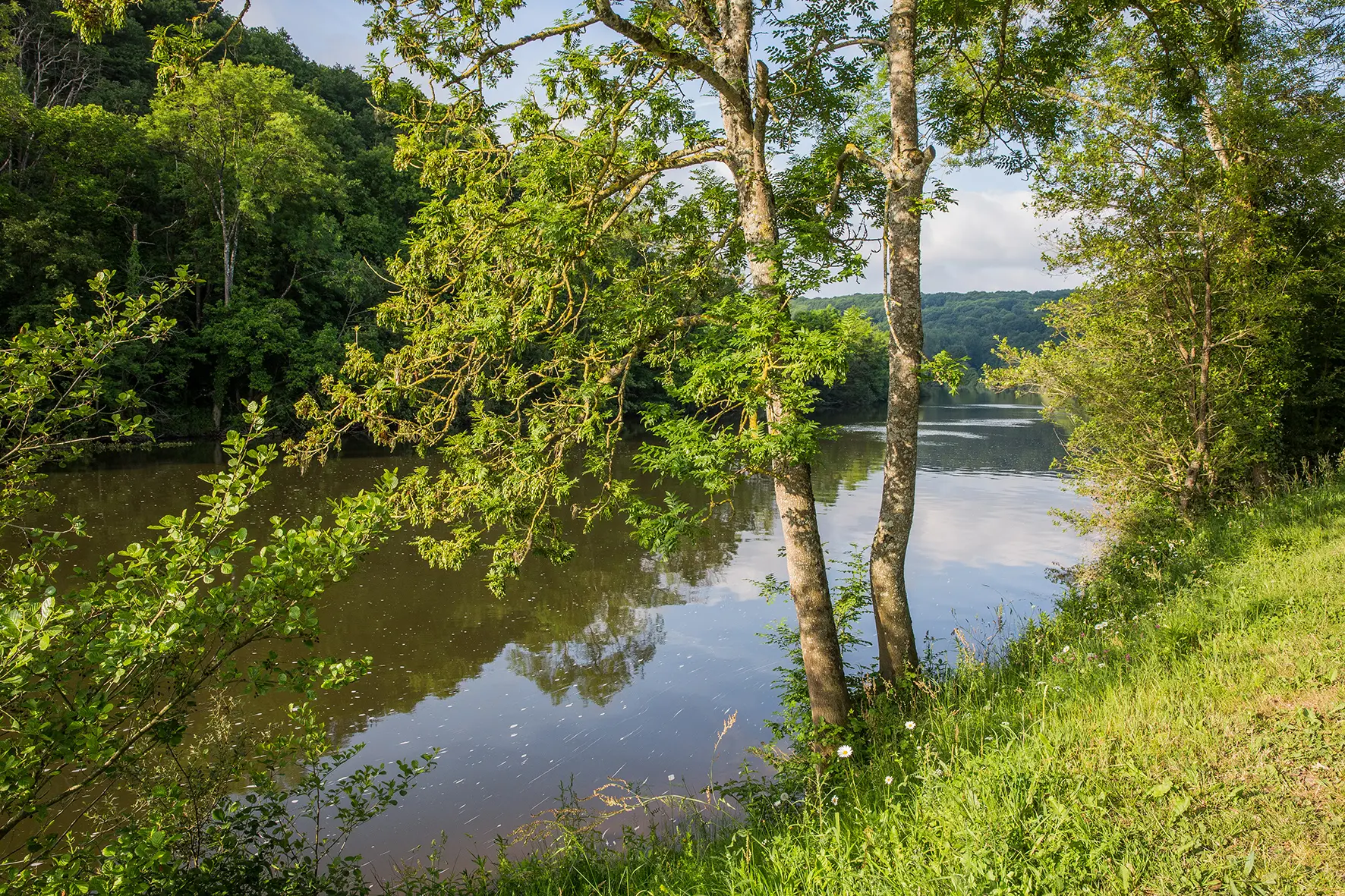 44-Philippe_CAHAREL-RivMayenne