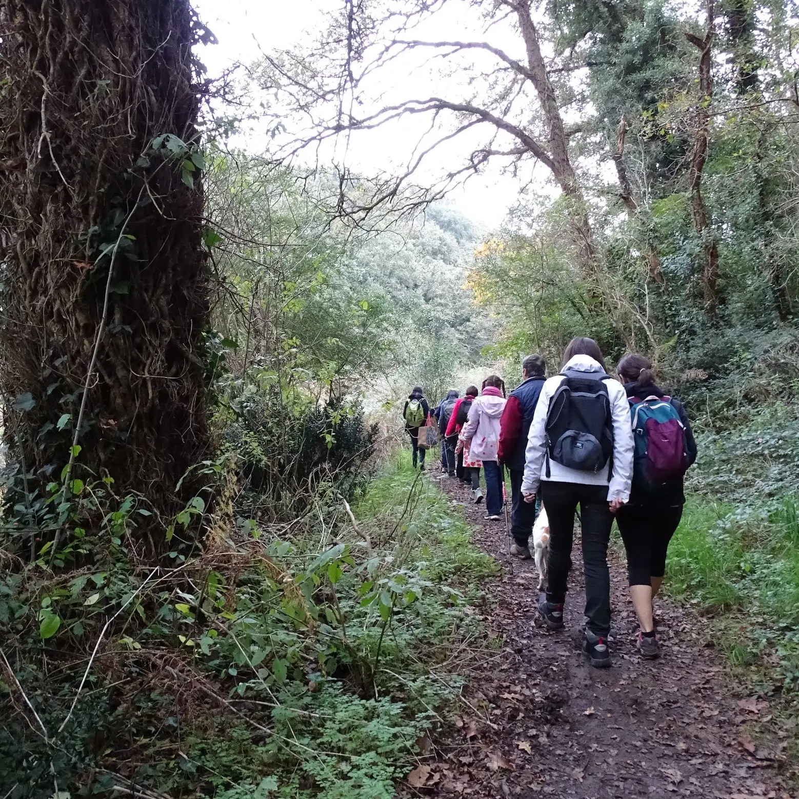 660307252_1367082642114103_3800066172538439588_n