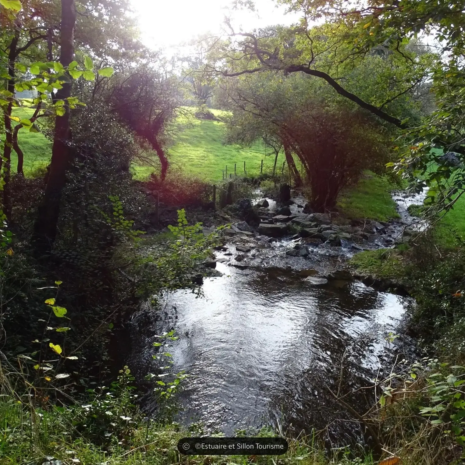 661262369_1367082648780769_6235768517556101148_n