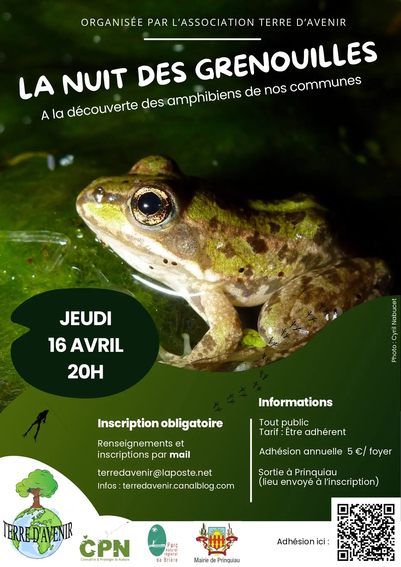 La Nuit des Grenouilles