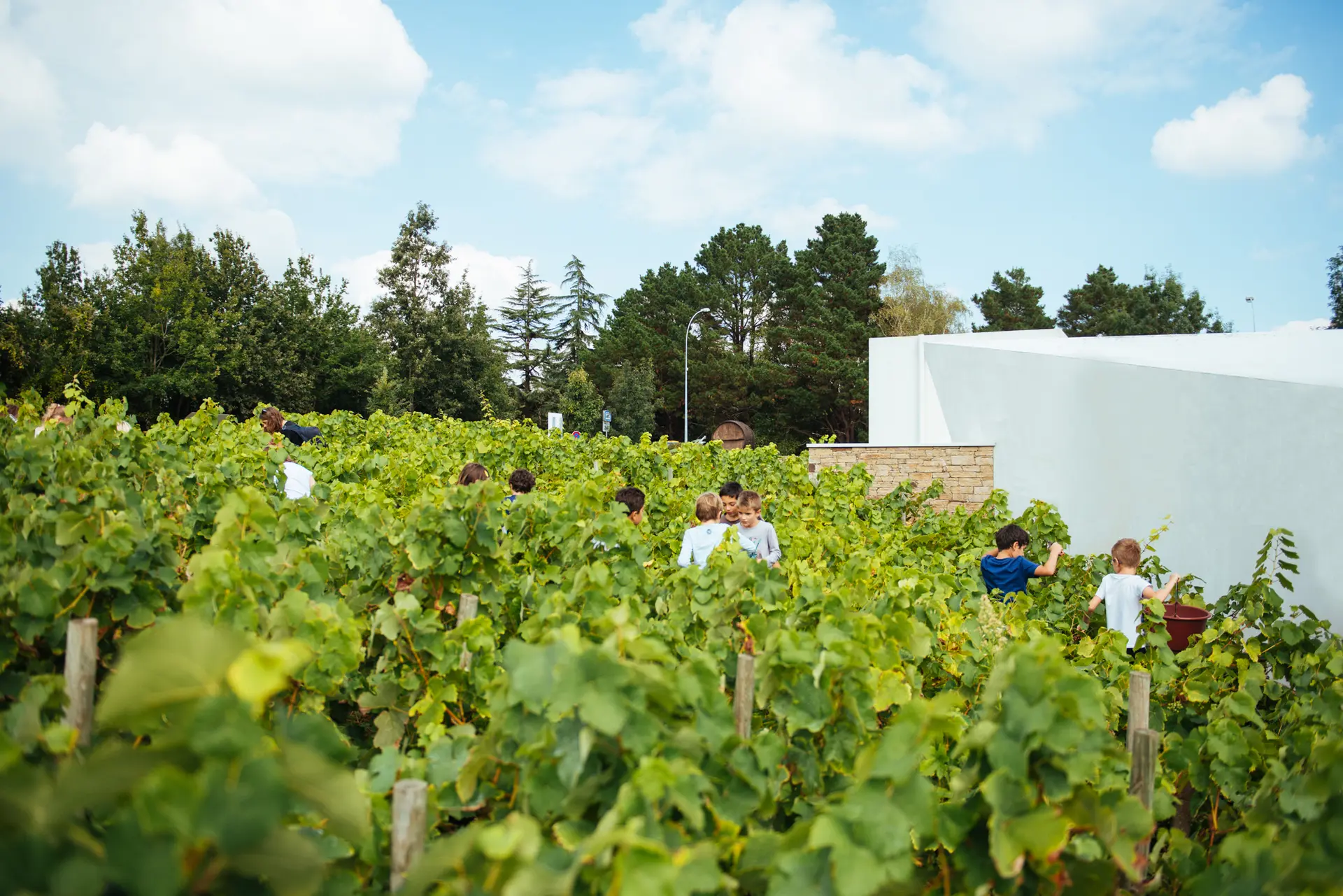 0103020110__c_David_Gallard_retouchee