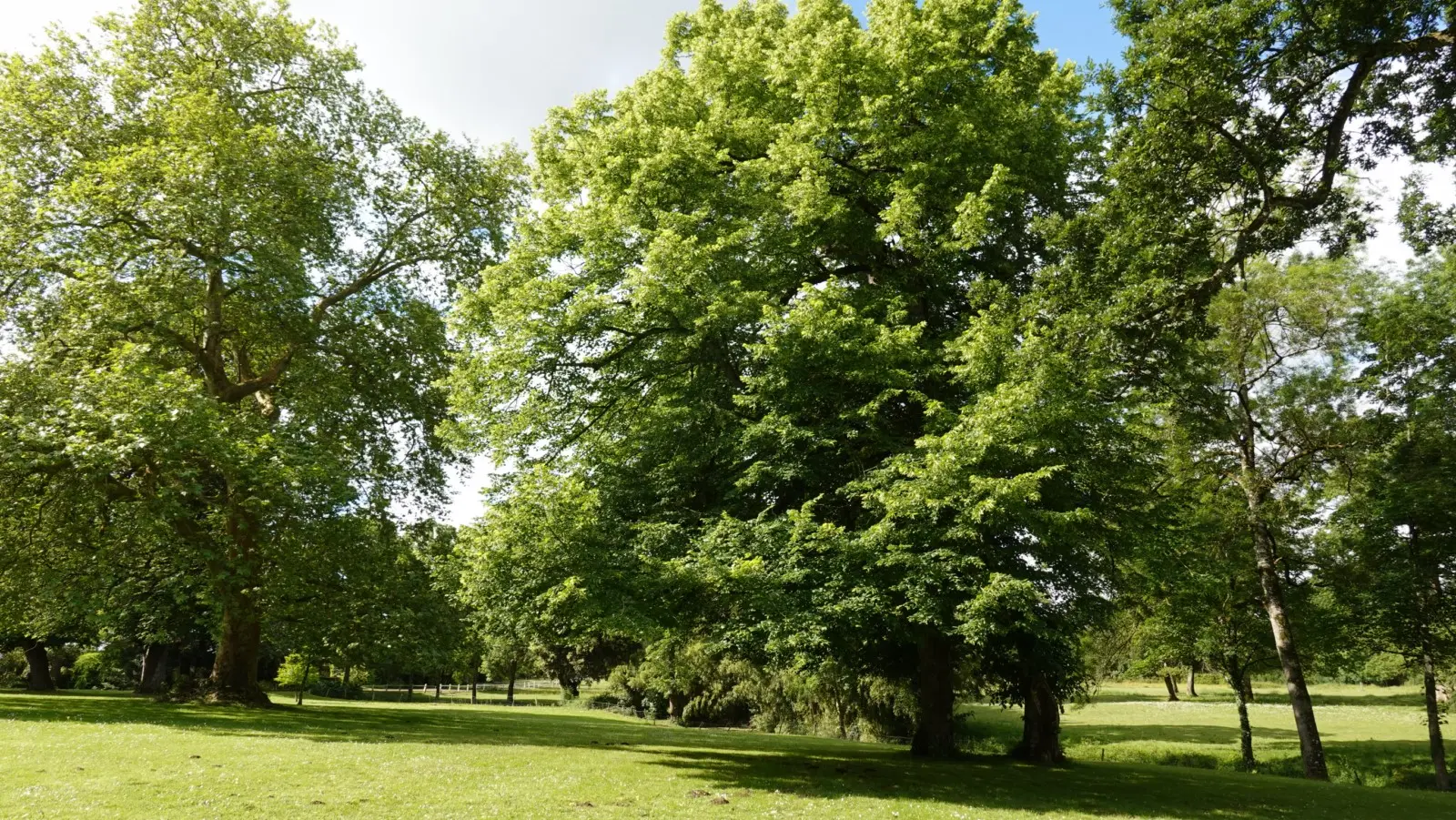 2024-05-30 Les Montys - Office de Tourisme du Vignoble de Nantes (18)