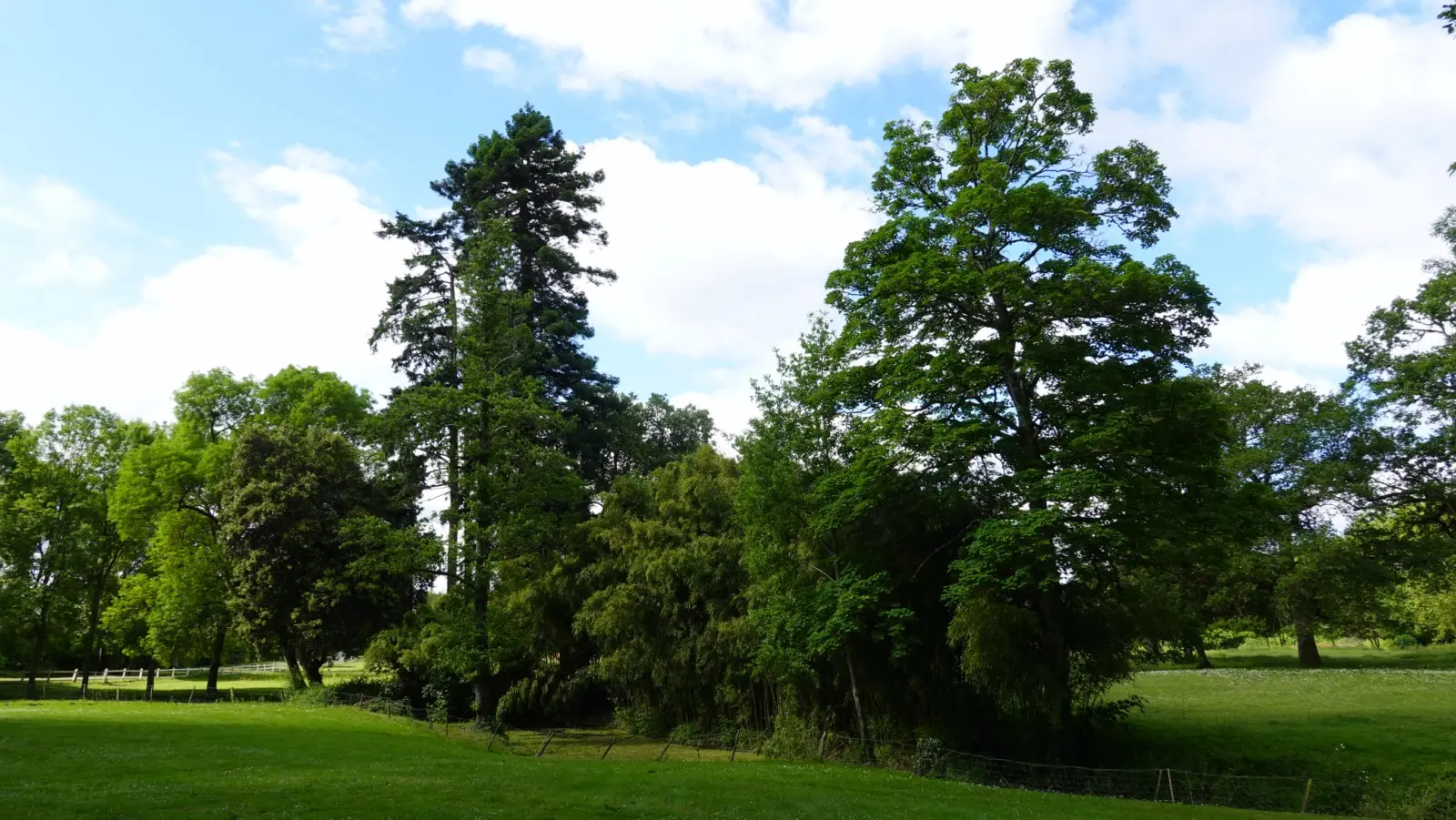2024-05-30 Les Montys - Office de Tourisme du Vignoble de Nantes (32)