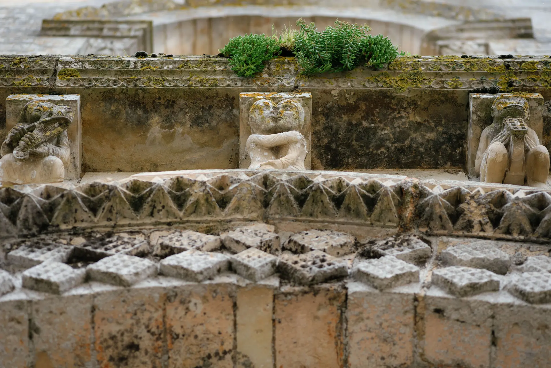 20250326_Maillezais_Sentier_-_HD-12