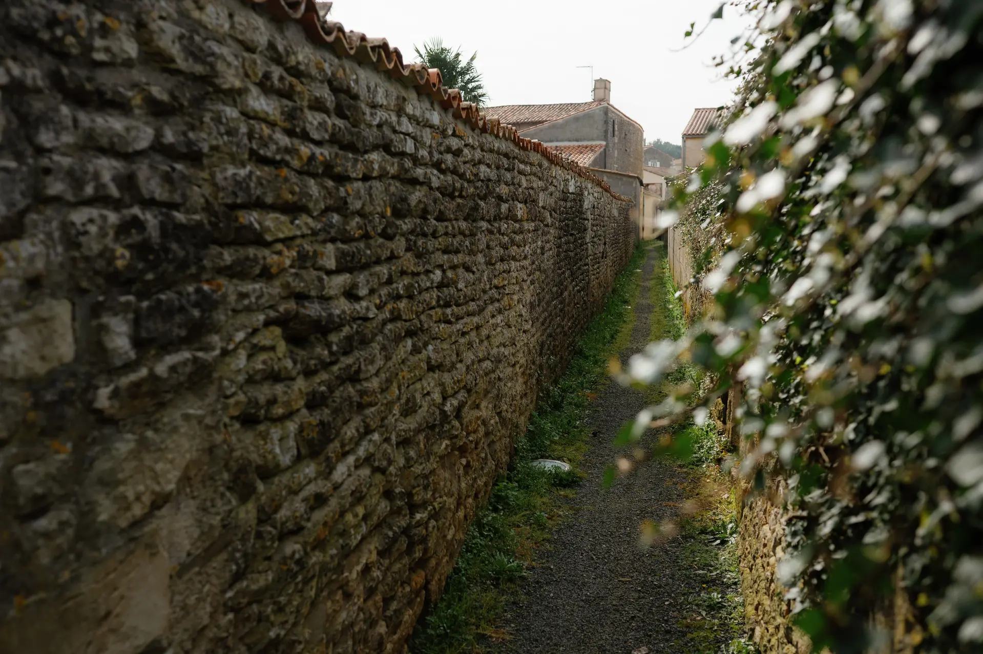 Les Petits secrets de Maillezais - venelle