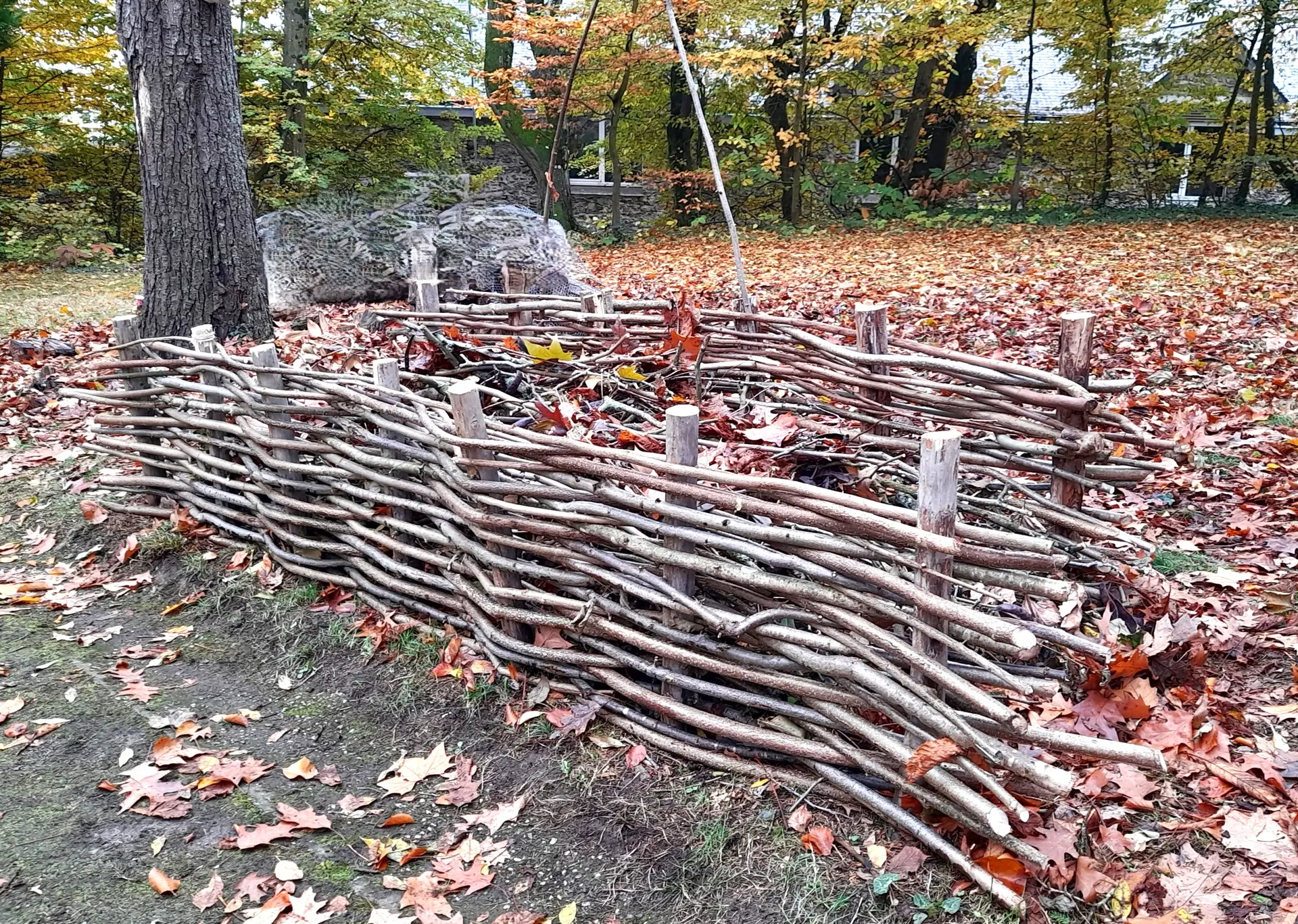 Création d'une haie sèche
