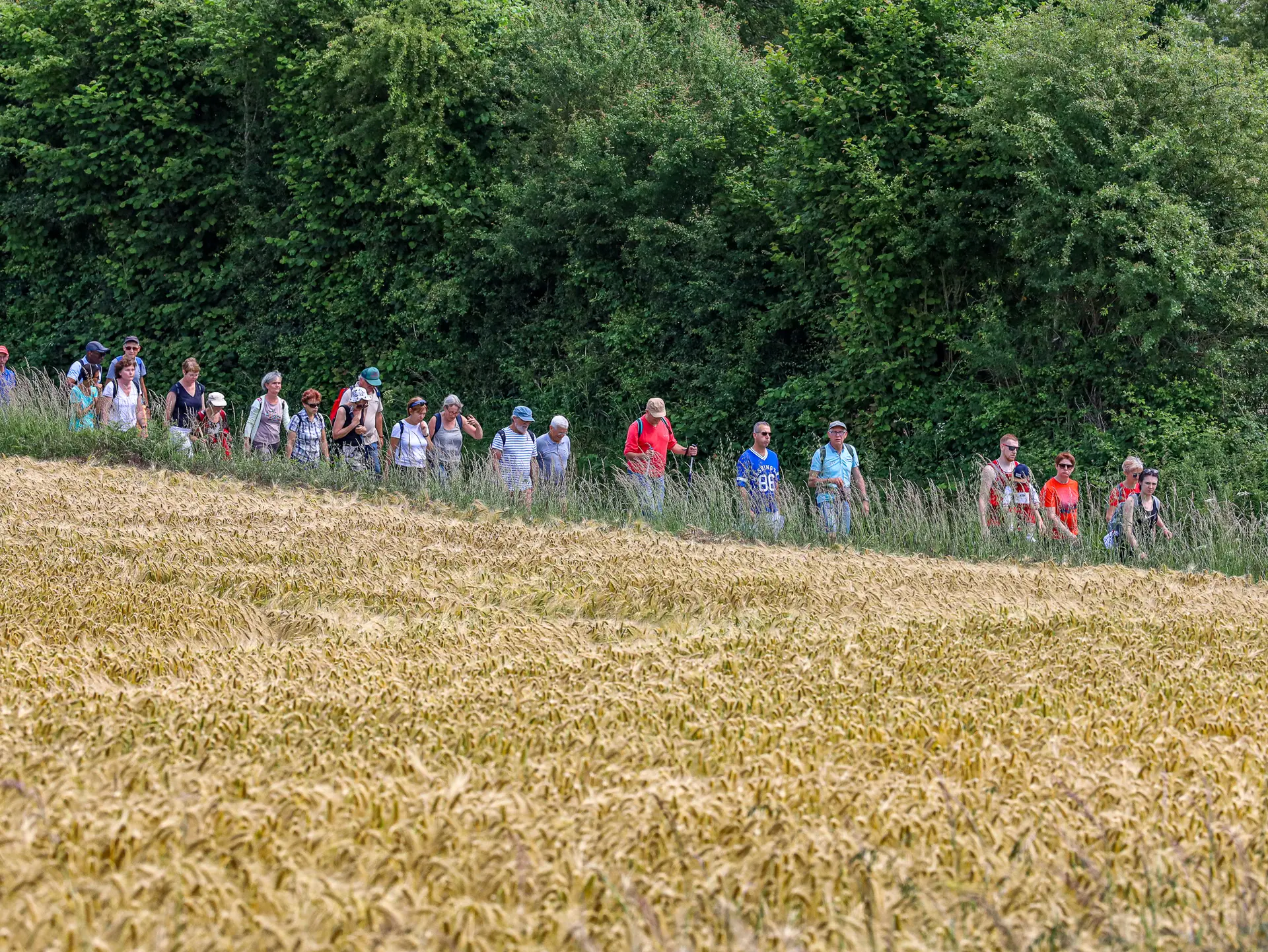 2022-06-11 Inoguration de la boucle de randonnée numéro 5 et marché au claire de lune - Vimarcé ©Damien Trohel (14)