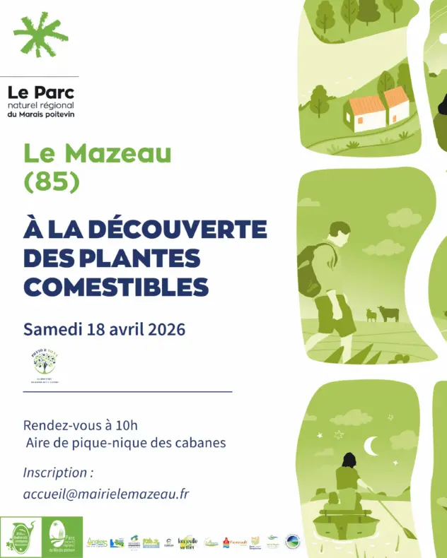 26-04-18-ABC-decouverte-des-plantes-comestibles-mazeau--819x1024