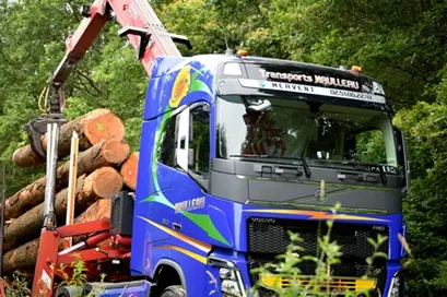 transports-naulleau-transports-de-bois-galerie-07