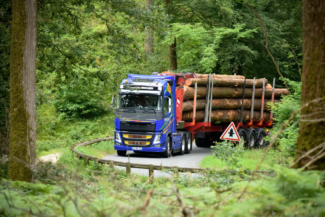transports-naulleau-transports-de-bois-galerie-10