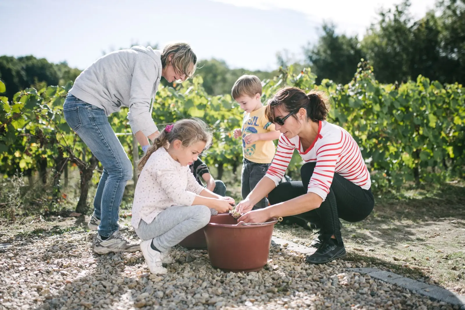 vendanges en famille