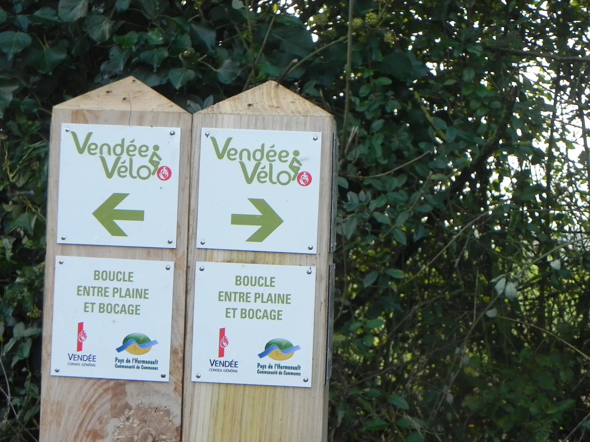 vélo-entre-plaine-et-bocage