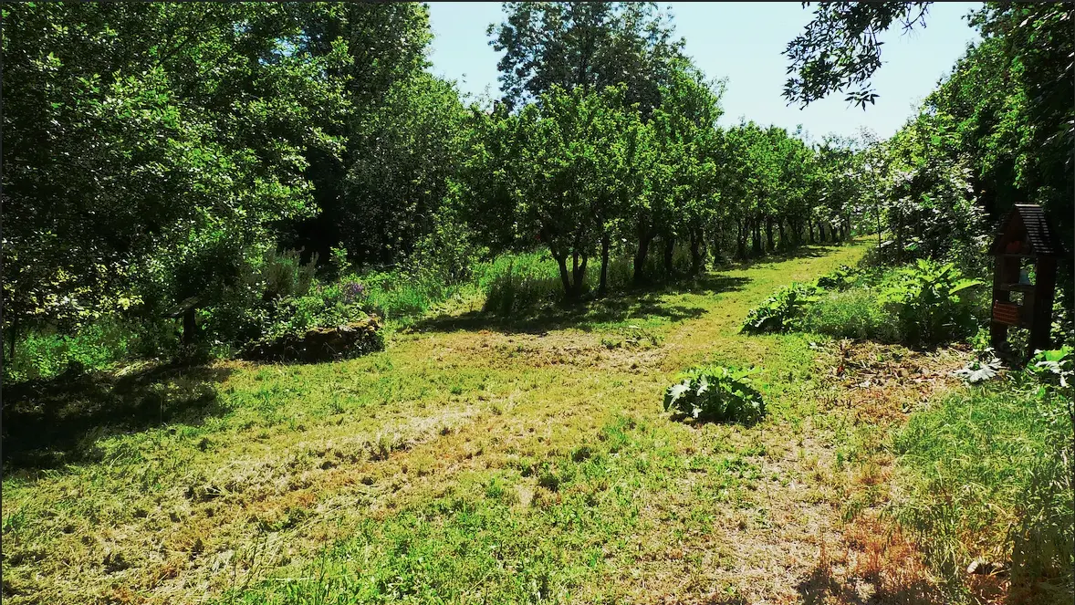 verge du nid doie clisson