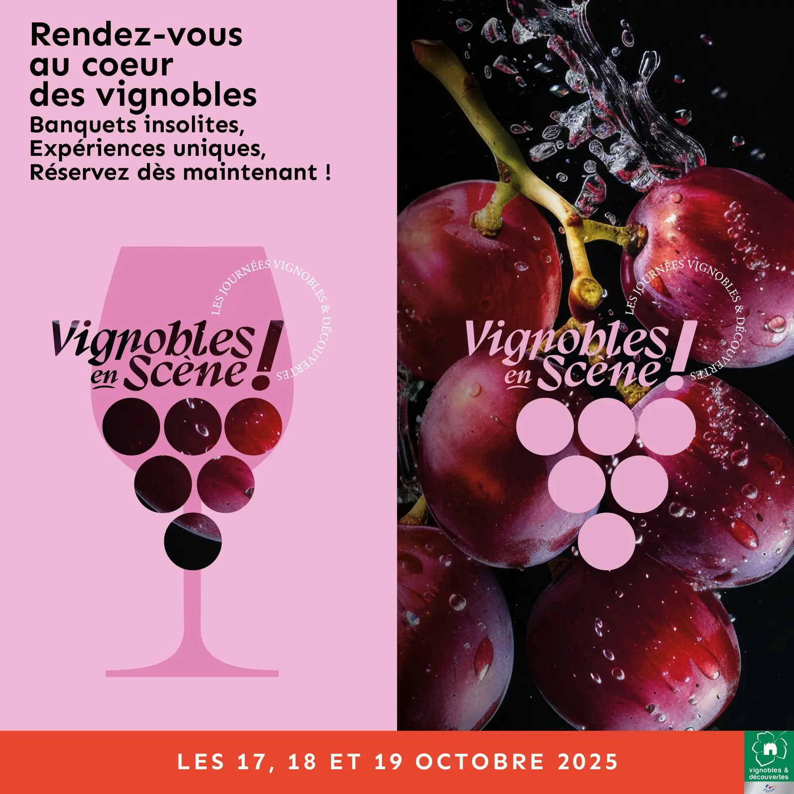vignobles en scene 2025