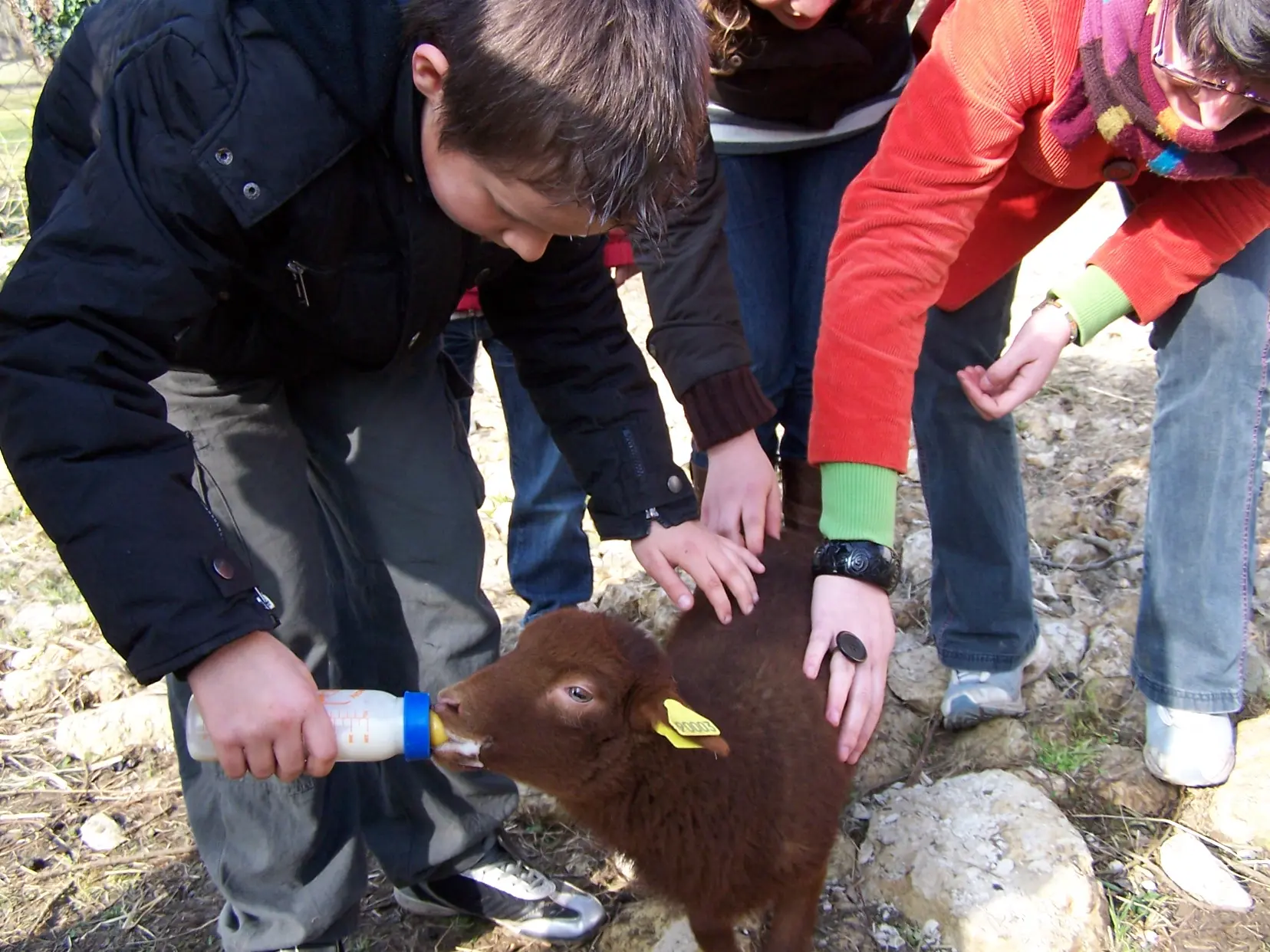AtelierPetitFermier-la Ferme du Marais Poitevin - Vendée