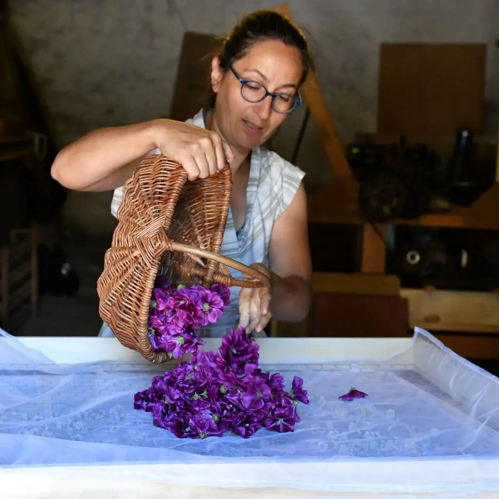 visite-jardin-d'herboriste_2025_Destination-vignoble-nantais