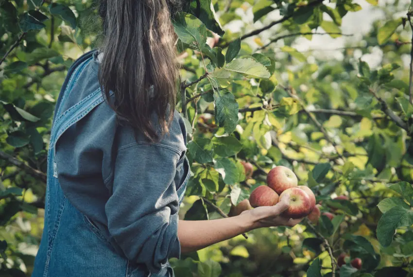 visitecoteaunataisJRVE-2024-levignobledenantes-tourisme