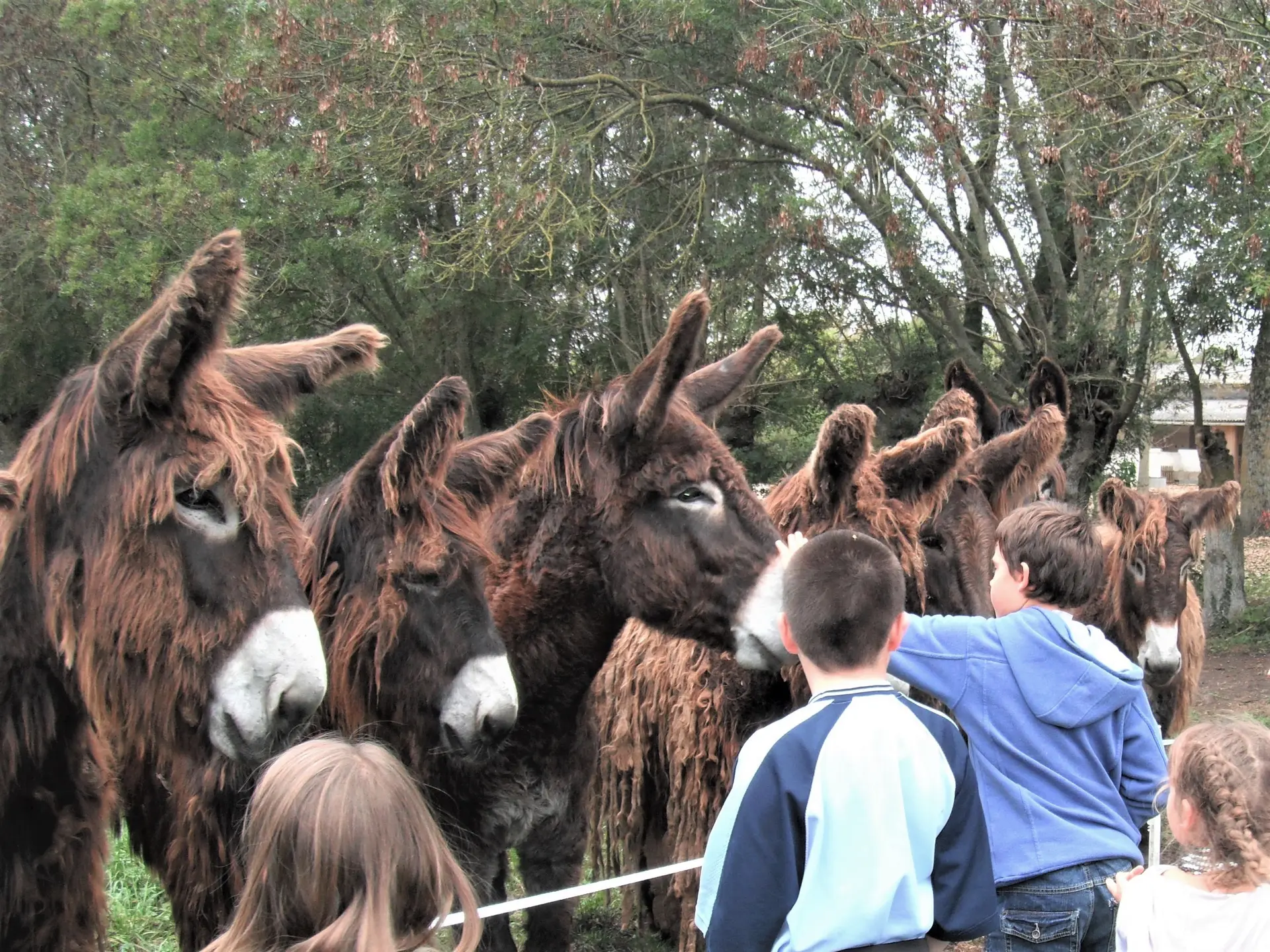 visitedelaferme-LaFermeduMaraispoitevin