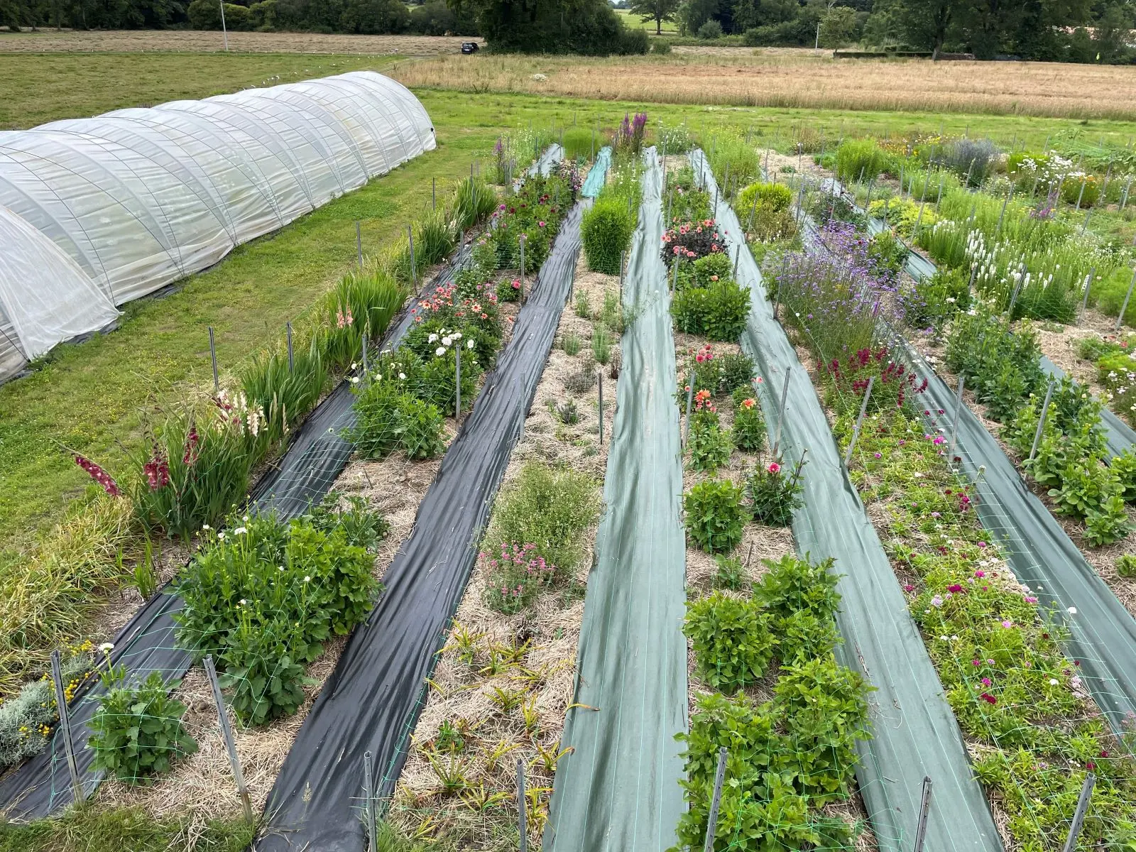 visiteleriredesfleurs-2024-levignobledenantes-tourisme