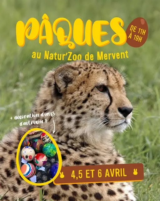 zoo de mervent