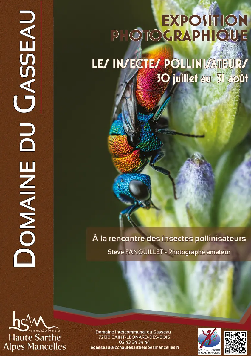 Exposition Les insectes pollinisateurs - Domaine du Gasseau - été 2026